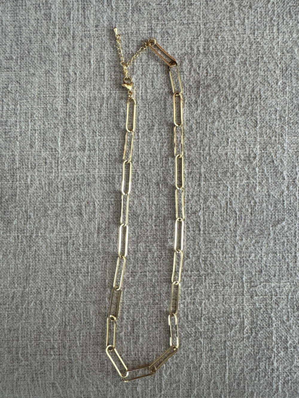 Evereve Gold Paperclip Link Necklace NWOT